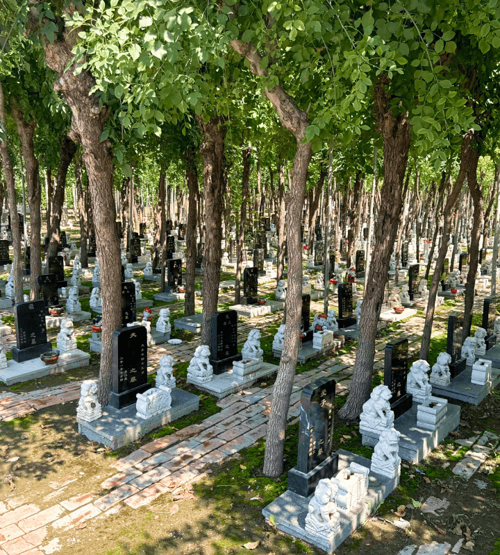 2025年廊坊万寿园清明扫墓专线时刻表